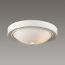 Настенно-потолочный светильник LUMION VINTAGE NINA 5279/2C