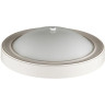 Настенно-потолочный светильник LUMION VINTAGE NINA 5279/2C
