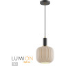 Светильник LUMION SUSPENTIONI 4451/1